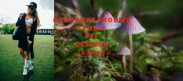 СК Абдулино