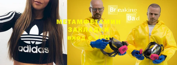 прущие грибы Абаза