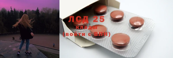 мяу мяу мука Дмитриев