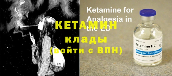 прущие грибы Абаза