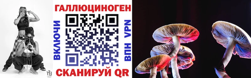 Галлюциногенные грибы GOLDEN TEACHER  где купить наркотик  Электросталь 